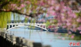 烟花三月在线观看,浪漫时光在线绽放